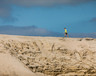 Pioneer Run 2019 (Michel Klooster 2), afbeelding 13